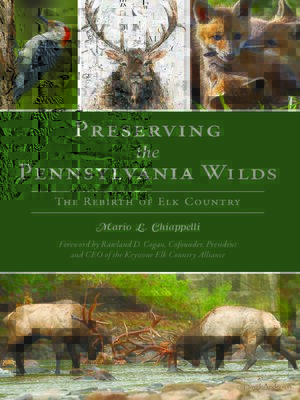 cover image of Preserving the Pennsylvania Wilds